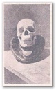 bambatha.jpg