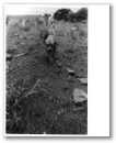 sarie_marais'_grave.jpg